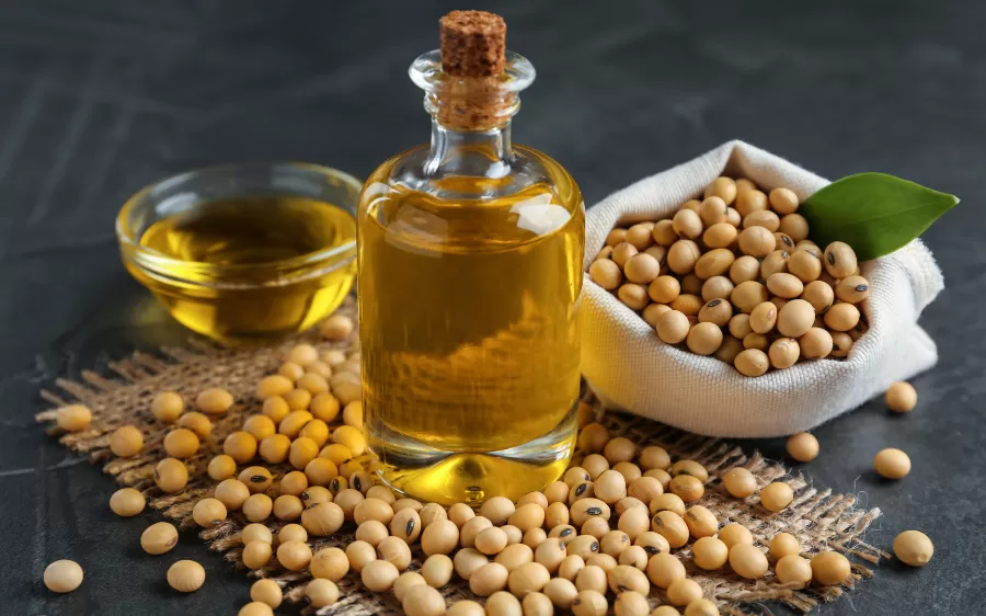 DẦU ĐẬU TƯƠNG MICRO